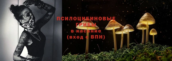 ГАЛЛЮЦИНОГЕННЫЕ ГРИБЫ Богородицк