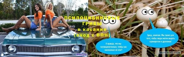 соль ск Богданович