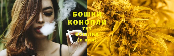 соль ск Богданович