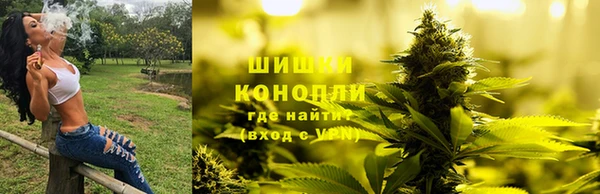 PSILOCYBIN Богородск